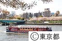 隅田公園の桜と水上バス