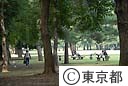 野川公園