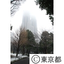都心に積雪