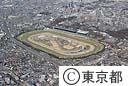 航空写真（府中競馬場）