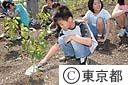 「海の森」植樹イベント