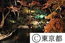 六義園　紅葉と大名庭園のライトアップ