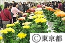 第５０回　関東東海花の展覧会
