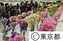 第５０回　関東東海花の展覧会
