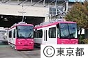 都電荒川線８８００刑車両