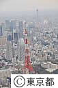 空撮・東京タワー