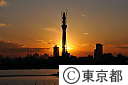 東京スカイツリー夕景