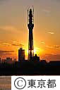 東京スカイツリー夕景