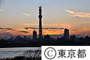 東京スカイツリー夕景
