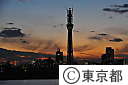 東京スカイツリー夕景