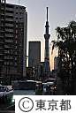 東京スカイツリー
