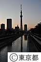 東京スカイツリー