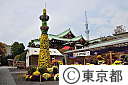 亀戸天神菊祭り