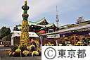 亀戸天神菊祭り