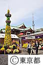 亀戸天神菊祭り