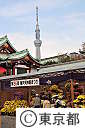 亀戸天神菊祭り