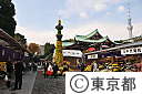 亀戸天神菊祭り