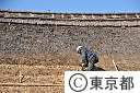 茅葺屋根の葺き替え技術