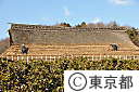 茅葺屋根の葺き替え技術