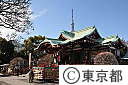 亀戸天神社の梅