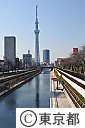 東京スカイツリー