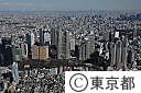 東京都庁