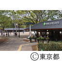 上野公園のオープンカフェ