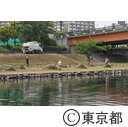 河川敷の清掃