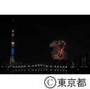 2012年　隅田川花火大会