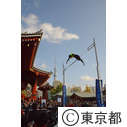 東京スポーツタウン2012