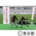 ニュースポーツEXPO