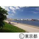 大森ふるさとの浜辺公園