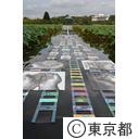 第29回全国都市緑化フェアTOKYO（開会式）