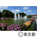第29回全国都市緑化フェアTOKYO（開会式）