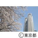 新宿中央公園