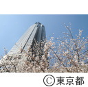 新宿中央公園