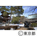 豪徳寺