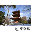 豪徳寺