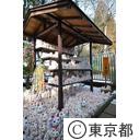 豪徳寺