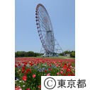 葛西臨海公園（ポピー）