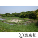葛西臨海公園（鳥類園ウォッチングセンター）