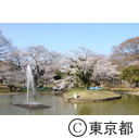 代々木公園