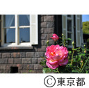 旧古河庭園