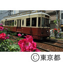 大塚駅バラ祭り