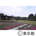 都立小金井公園の施設・園内風景