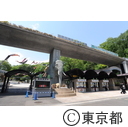 多摩動物公園の園内・入り口