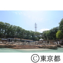 多摩動物公園のモウコノウマ