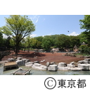 多摩動物公園 アフリカ園