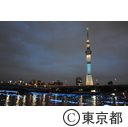 2013東京ホタル「ひかりのシンフォニー」