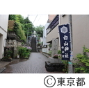 文京あじさいまつり（白山神社）
